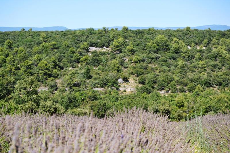 Propriété en pierres du pays - Luberon